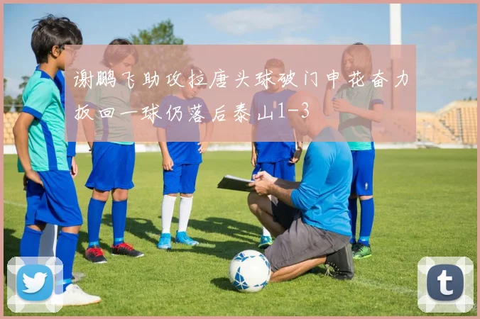谢鹏飞助攻拉唐头球破门申花奋力扳回一球仍落后泰山1-3